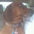 Deb Toms's profile image