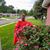 Tammy Riggins's profile image