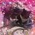 Pat Yaeger Ksiazek's profile image