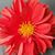 Bhagwan Mahajan's profile image
