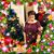 Rini Hernandez's profile image
