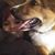 Pearl Hampton's profile image