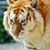Samara Owens Bennett's profile image
