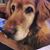 Judy French's profile image