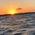 Marilyn Costa Collis's profile image