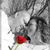 Melissa Baines Owens's profile image