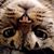 Eileen Beattie Smith's profile image