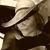 Traci Moran Holquin's profile image