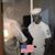 Mark P Dunlap's profile image