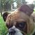 Vikki Layton Jones's profile image