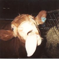 Jeri Block's profile image