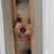 Claudia Tomasello Johnson's profile image