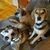 Terri Ullery Poole May's profile image