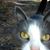 Ezra Owen's profile image