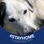 Gayle Homan Snyder's profile image