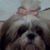 Kim Clark's profile image
