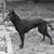 Gabriele Ghio's profile image