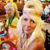 Stacey Hunt Melton's profile image