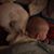 Joann Waldrop's profile image