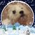 Debbie Erickson's profile image