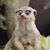 Geri Lynn Beld's profile image