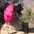Anathan Wonderland's profile image