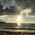 Romina Finkelberg's profile image