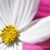 Fioldalisa Barrera Thomas's profile image