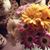 Ben N Tara Forrest's profile image