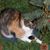 Brenda Jordan's profile image