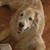 Carolyn Shuart's profile image