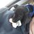 Stephanie Schultz's profile image