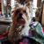 Robin Wetzell Hauan's profile image