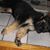 Cindy Tracey's profile image