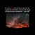 Vicki M. Schneider's profile image