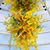 Vickie Hemmelgarn's profile image