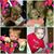 Lori T Mazzola Tanghare's profile image