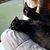 Anthony John Dezzutti's profile image