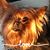 Carrie Hilgendorf Blake's profile image