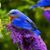 Susan Weaver Kettelle's profile image