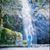 Joyce Thornton's profile image