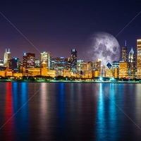 Mike Wilson's profile image