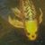 Letha Rodman Melchior's profile image