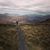 Mairead Daly Nekkab's profile image
