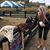 Karen Malek Standafer's profile image