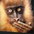 slinvenice's profile image