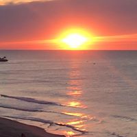 Mike Parrish's profile image