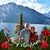 D'Ann Reamer's profile image