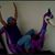 Junior Moscato's profile image