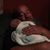 Gary Cranston's profile image